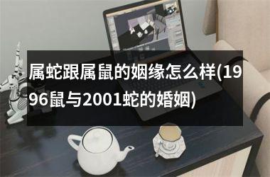 属蛇跟属鼠的姻缘怎么样(1996鼠与2001蛇的婚姻)