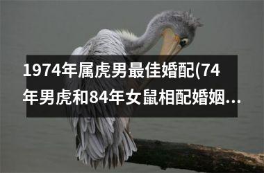 <h3>1974年属虎男佳婚配(74年男虎和84年女鼠相配婚姻如何)
