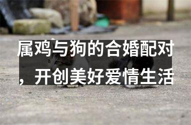 <h3>属鸡与狗的合婚配对，开创美好爱情生活