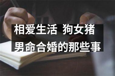 相爱生活  狗女猪男命合婚的那些事