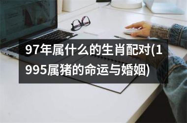 97年属什么的生肖配对(1995属猪的命运与婚姻)