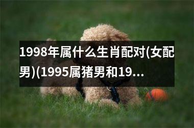 <h3>1998年属什么生肖配对(女配男)(1995属猪男和1996属鼠女婚姻)