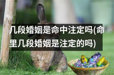 <h3>几段婚姻是命中注定吗(命里几段婚姻是注定的吗)