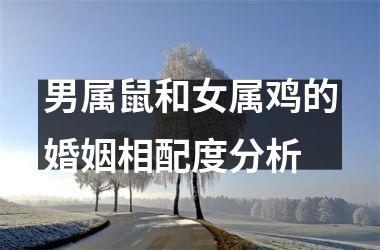 <h3>男属鼠和女属鸡的婚姻相配度分析