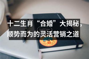 <h3>十二生肖“合婚”大揭秘，顺势而为的灵活营销之道