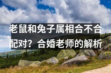 <h3>老鼠和兔子属相合不合配对？合婚老师的解析