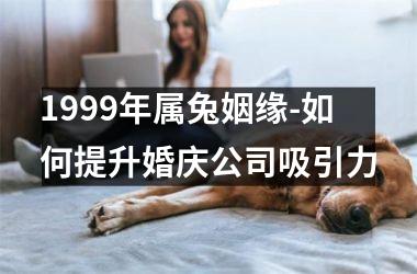 <h3>1999年属兔姻缘-如何提升婚庆公司吸引力