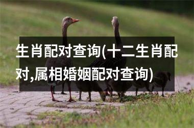 <h3>生肖配对查询(十二生肖配对,属相婚姻配对查询)