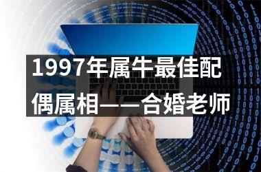 <h3>1997年属牛佳配偶属相——合婚老师