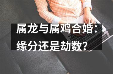 <h3>属龙与属鸡合婚：缘分还是劫数？