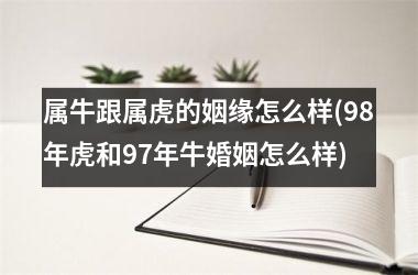 属牛跟属虎的姻缘怎么样(98年虎和97年牛婚姻怎么样)