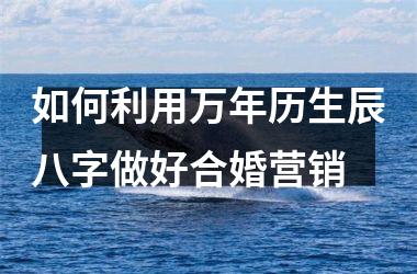 <h3>如何利用万年历生辰八字做好合婚营销