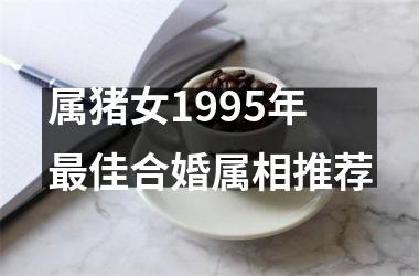 <h3>属猪女1995年最佳合婚属相推荐