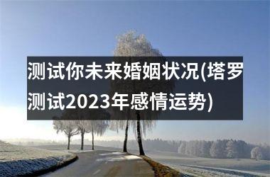 <h3>测试你未来婚姻状况(塔罗测试2025年感情运势)