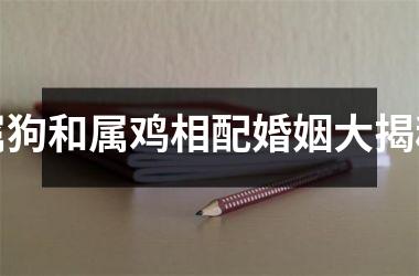 属狗和属鸡相配婚姻大揭秘
