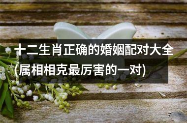 <h3>十二生肖正确的婚姻配对大全(属相相克最厉害的一对)