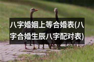 <h3>八字婚姻上等合婚表(八字合婚生辰八字配对表)
