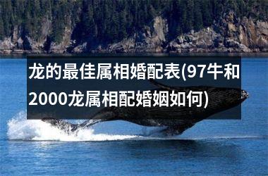 <h3>龙的最佳属相婚配表(97牛和2000龙属相配婚姻如何)