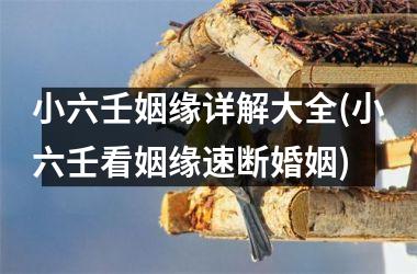 <h3>小六壬姻缘详解大全(小六壬看姻缘速断婚姻)