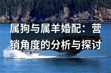 <h3>属狗与属羊婚配：营销角度的分析与探讨