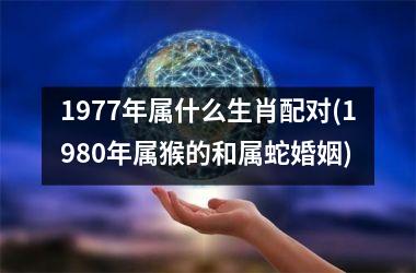 1977年属什么生肖配对(1980年属猴的和属蛇婚姻)