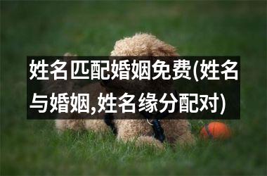 姓名匹配婚姻免费(姓名与婚姻,姓名缘分配对)