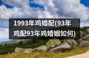 <h3>1993年鸡婚配(93年鸡配93年鸡婚姻如何)
