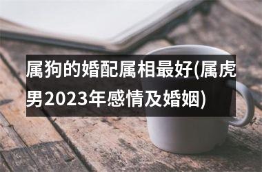 属狗的婚配属相最好(属虎男2025年感情及婚姻)