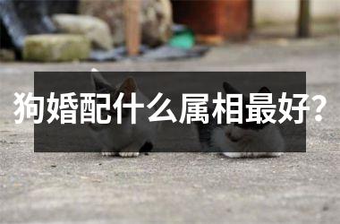 <h3>狗婚配什么属相最好？