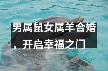 <h3>男属鼠女属羊合婚，开启幸福之门