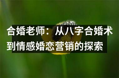 <h3>合婚老师：从八字合婚术到情感婚恋营销的探索