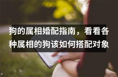 <h3>狗的属相婚配指南，看看各种属相的狗该如何搭配对象