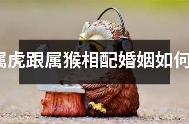 属虎跟属猴相配婚姻如何？