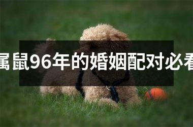 <h3>属鼠96年的婚姻配对必看