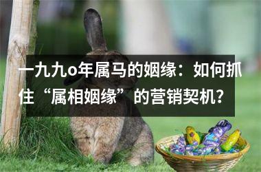 <h3>一九九o年属马的姻缘：如何抓住“属相姻缘”的营销契机？