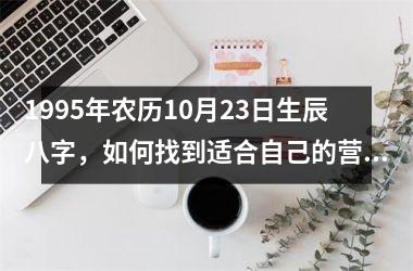 1995年农历10月23日生辰八字，如何找到适合自己的营销策略？