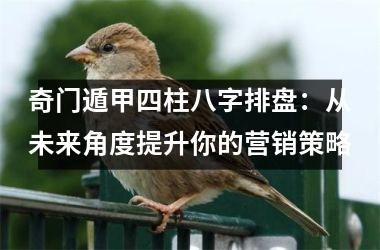<h3>奇门遁甲四柱八字排盘：从未来角度提升你的营销策略