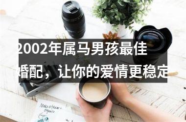 <h3>2002年属马男孩最佳婚配，让你的爱情更稳定