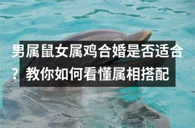 <h3>男属鼠女属鸡合婚是否适合？教你如何看懂属相搭配