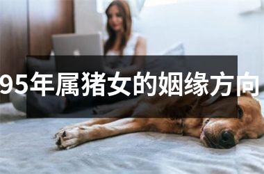 <h3>95年属猪女的姻缘方向