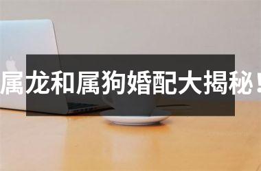 <h3>属龙和属狗婚配大揭秘！