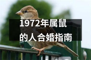 <h3>1972年属鼠的人合婚指南
