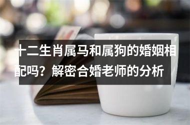 <h3>十二生肖属马和属狗的婚姻相配吗？解密合婚老师的分析