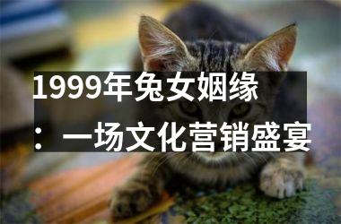 <h3>1999年兔女姻缘：一场文化营销盛宴