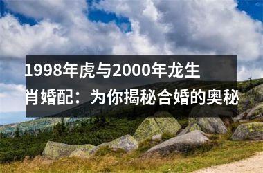 <h3>1998年虎与2000年龙生肖婚配：为你揭秘合婚的奥秘