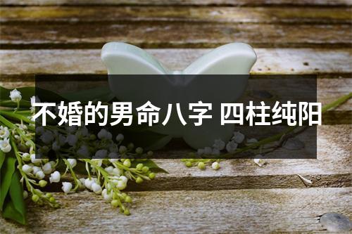 <h3>不婚的男命八字四柱纯阳