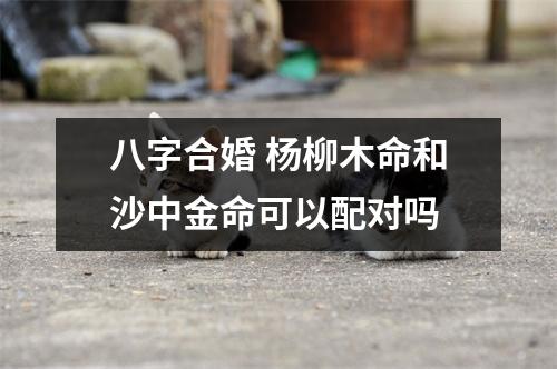 <h3>八字合婚杨柳木命和沙中金命可以配对吗