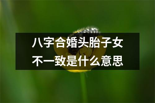 <h3>八字合婚头胎子女不一致是什么意思