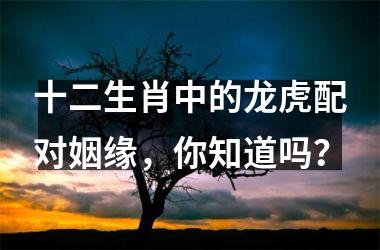 <h3>十二生肖中的龙虎配对姻缘，你知道吗？
