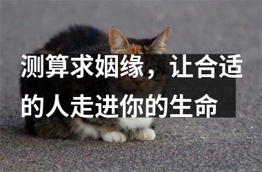 测算求姻缘，让合适的人走进你的生命